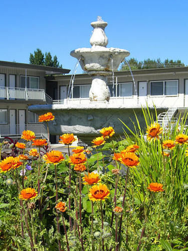 Comox Valley Inn&Suites Courtenay Extérieur photo